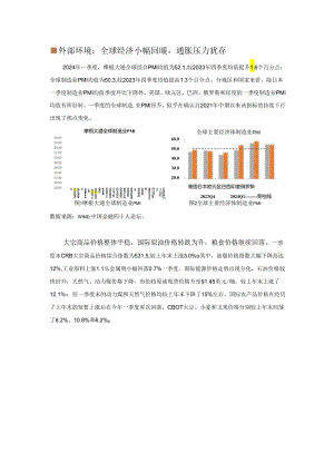 如何平衡债务增长与债务风险 2024.docx