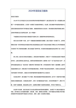 2024年项目实习报告.docx