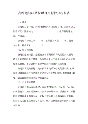 高纯超细硅微粉项目建设可研报告.docx