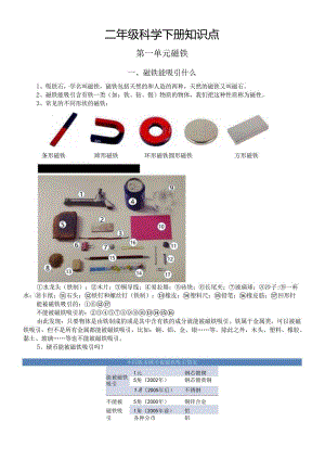 小学科学教科版二年级下册全册知识点精编（分单元编排）（2024春）.docx