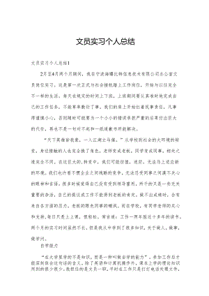 文员实习个人总结.docx