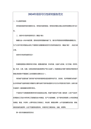 2024年项目可行性研究报告范文.docx