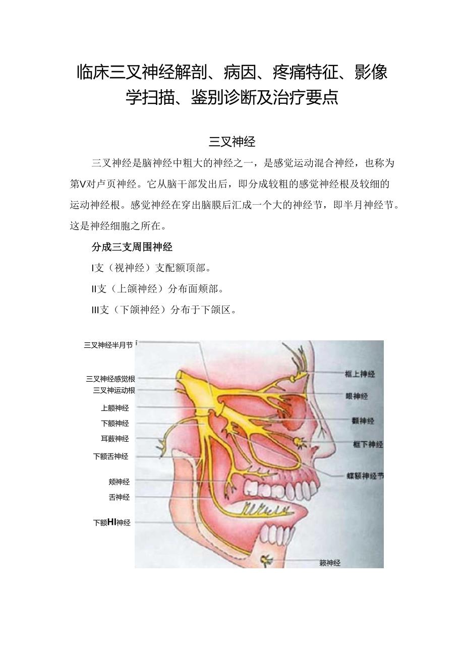 临床三叉神经解剖、病因、疼痛特征、影像学扫描、鉴别诊断及治疗要点.docx_第1页