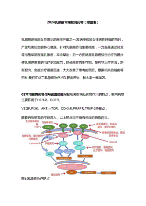 2024乳腺癌常用靶向药物（附图表）.docx