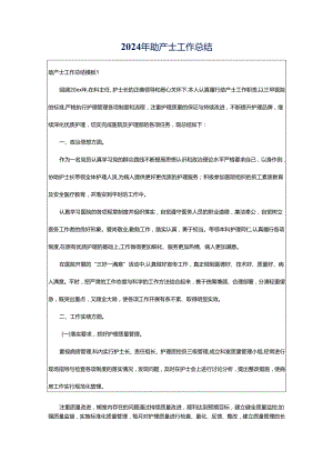 2024年助产士工作总结.docx