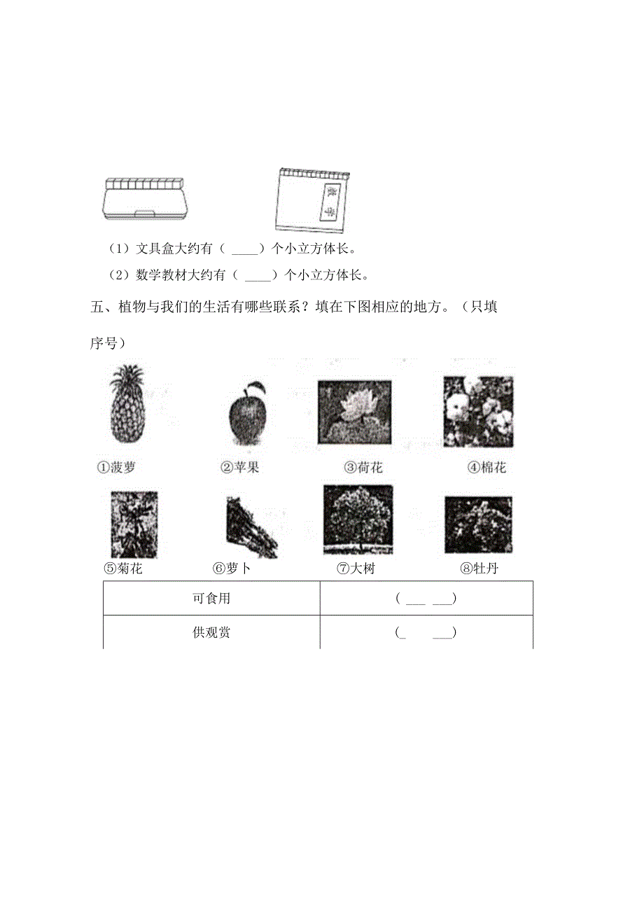 教科版一年级科学下册期中测试卷(附答案).docx_第3页