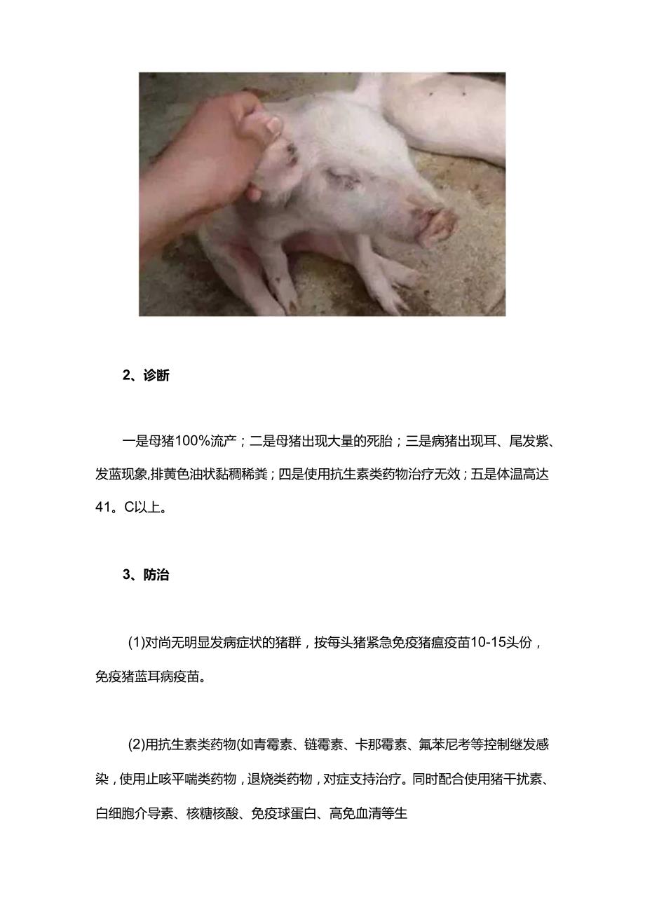 猪病混合感染的诊断治疗.docx_第2页