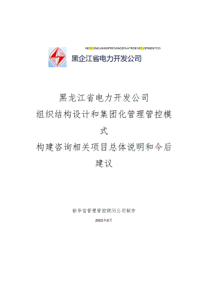 X电力企业组织设计和集团化管理模式咨询.docx