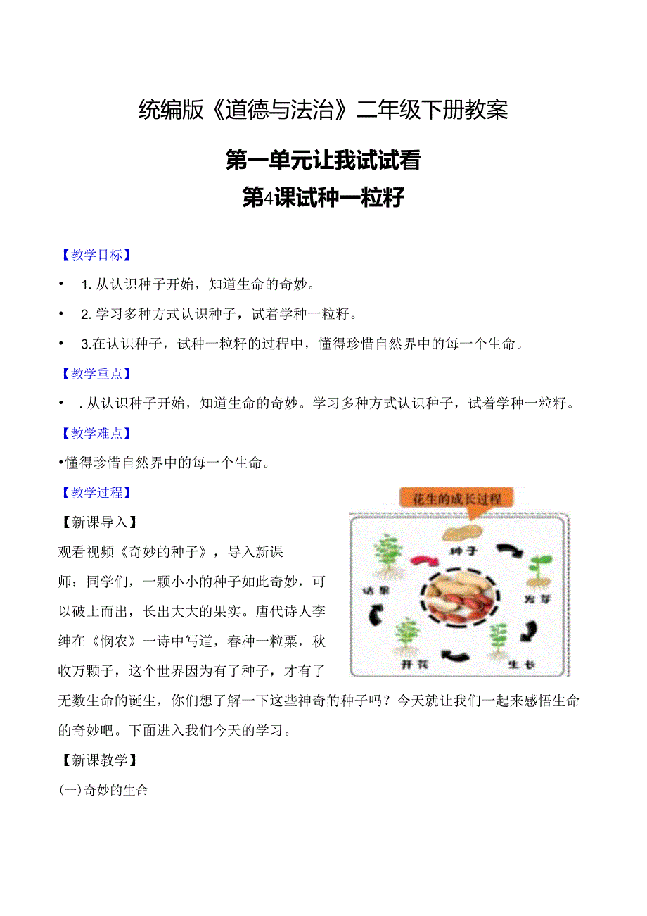 部编版二年级道德与法治下册第4课《试种一粒籽》精美教案.docx_第1页