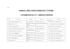 全省建设工程施工现场安全质量标准化工作检查暨.docx