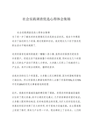 社会实践调查优选心得体会集锦.docx