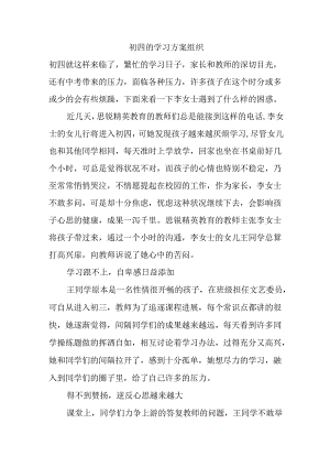 初四的学习方案组织.docx