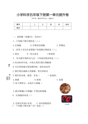 第一单元 显微镜下的生命世界 提升卷 科学五年级下册（苏教版）.docx