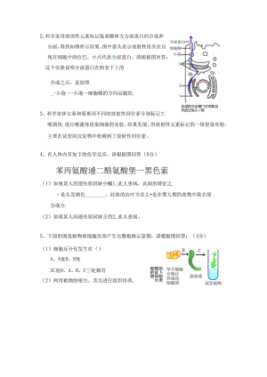 2、科学家用放射性元素标记氨基酸研究分泌蛋白的合成和分泌,得..docx