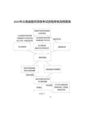 2024年云南省医师资格考试资格审核流程图表.docx