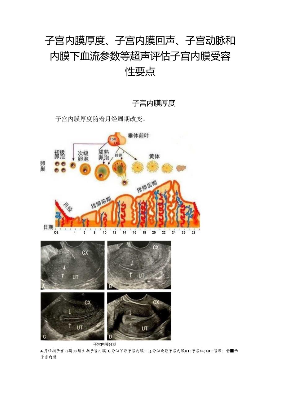 临床子宫内膜厚度、子宫内膜回声、子宫动脉和内膜下血流参数等超声评估子宫内膜受容性要点.docx_第1页