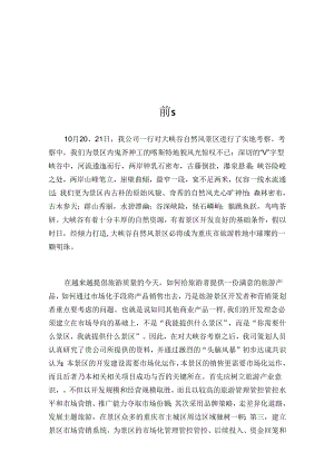 X自然风景区策划方案.docx