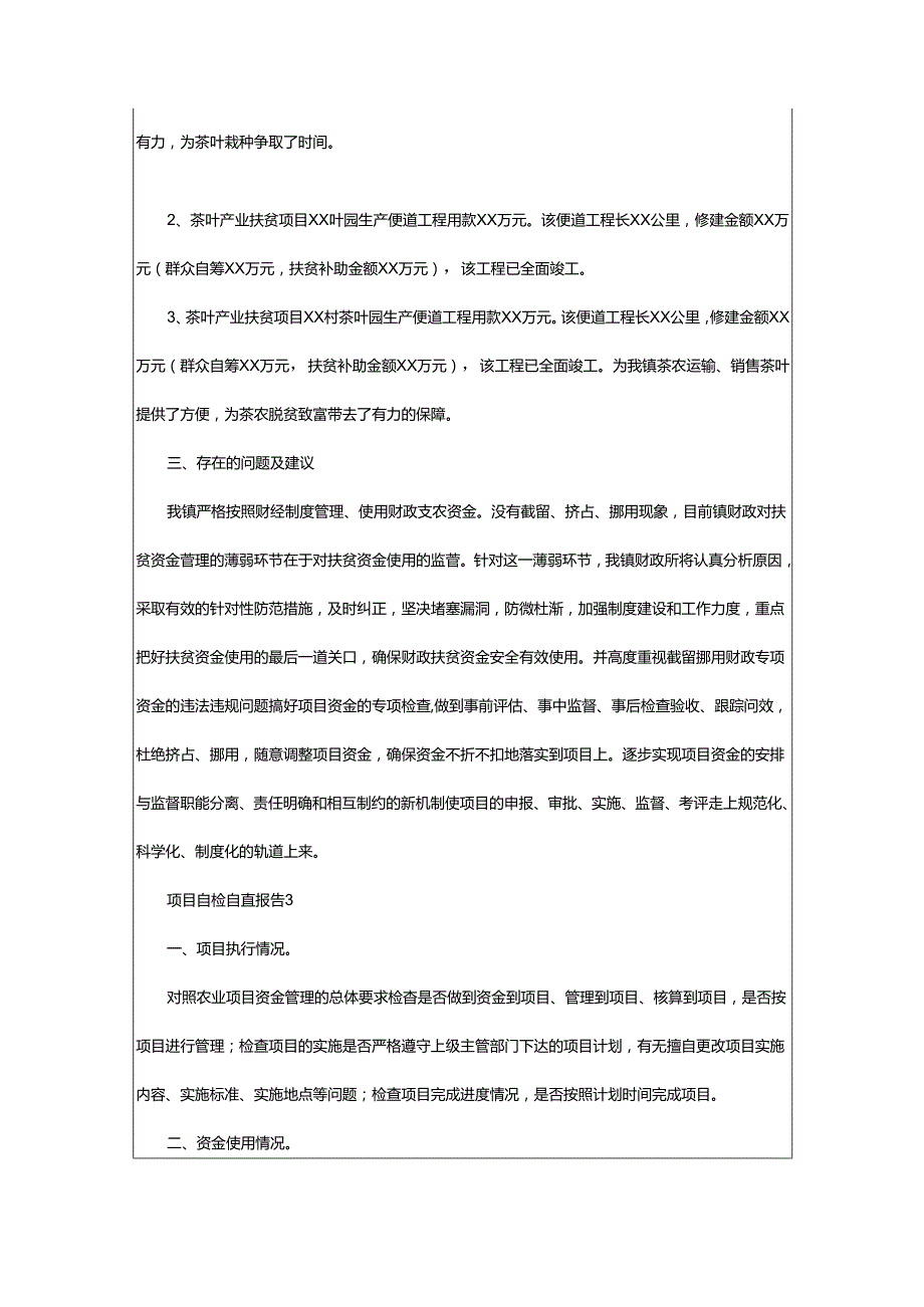 2024年项目自检自查报告.docx_第3页