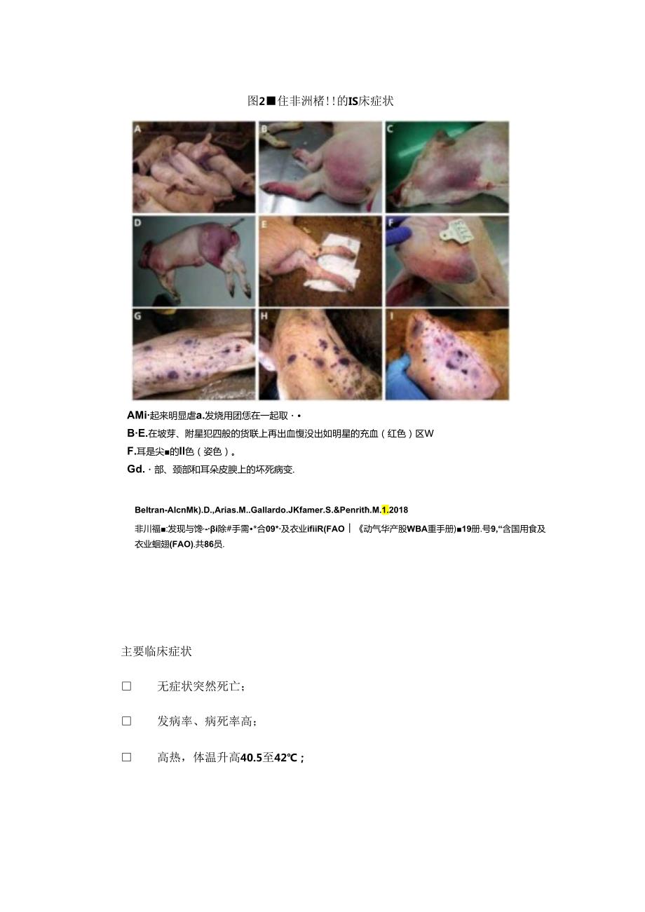 非洲猪瘟防控知识挂图：临床表现、剖检变化和鉴别诊断.docx_第3页