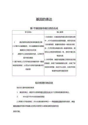 2023-2024学年 人教版 必修二基因指导蛋白质的合成 学案.docx