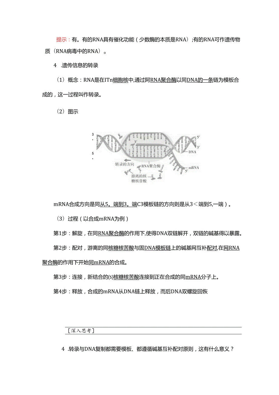 2023-2024学年 人教版 必修二基因指导蛋白质的合成 学案.docx_第3页