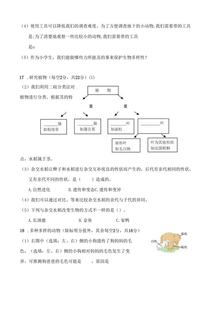 教科版小学科学六年级下册第二单元练习卷及答案.docx_第3页