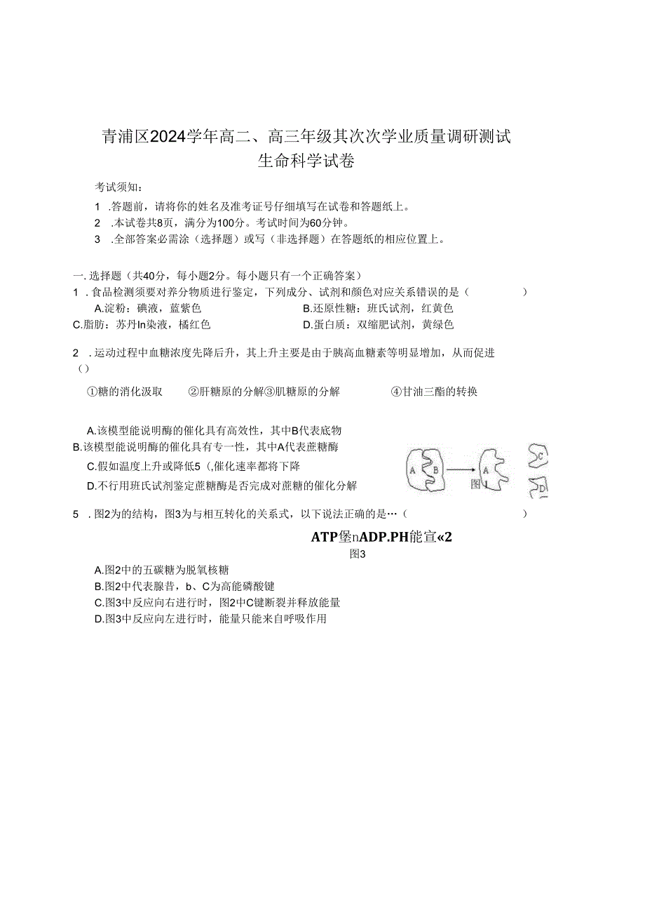 上海市青浦区2024-2025学年生命科学等级考二模试卷及参考答案.docx_第1页