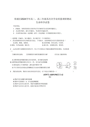 上海市青浦区2024-2025学年生命科学等级考二模试卷及参考答案.docx