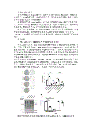 OTUD5 TRIM25通过去泛素化活性调控肿瘤增殖机制.docx