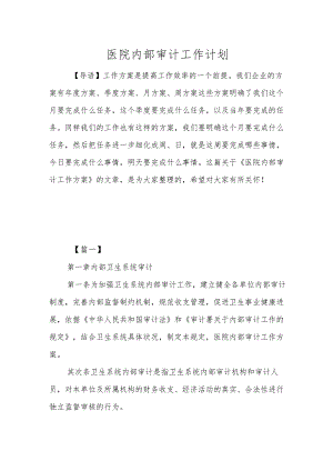 医院内部审计工作计划.docx