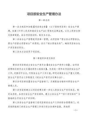 项目部安全生产管理办法.docx