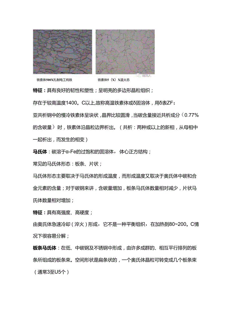 常见金相组织的定义和特征.docx_第2页