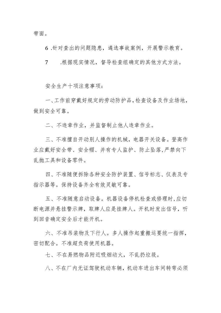 政府及部门安全生产督导检查方式方法模板.docx_第2页