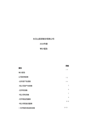 长白山旅游股份有限公司2023年度审计报告、财务报表、报表附注.docx