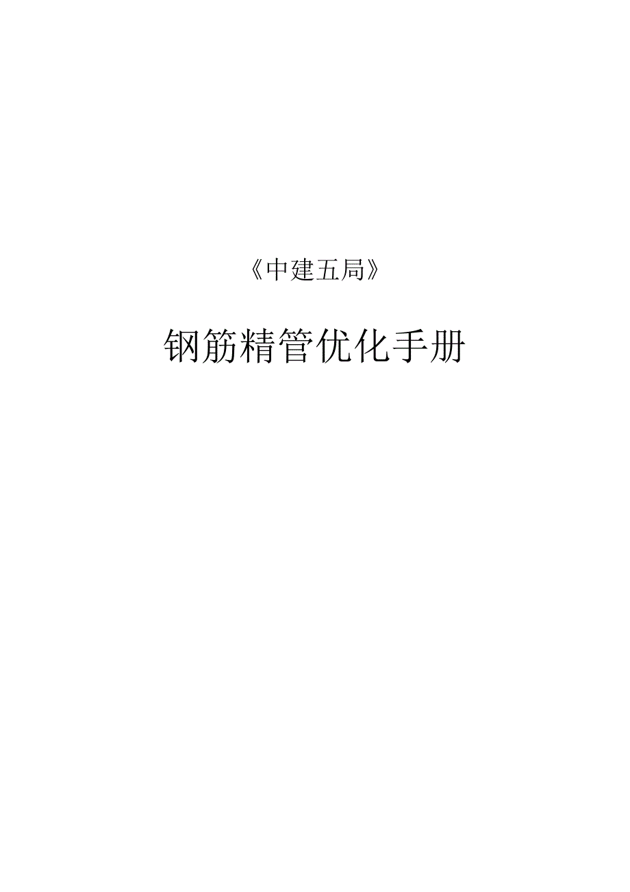 钢筋精管优化手册.docx_第1页