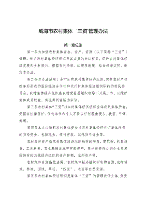 威海市农村集体“三资”管理办法.docx