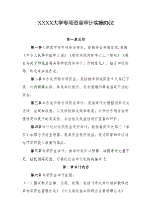 大学专项资金审计实施办法.docx