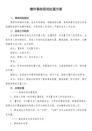 爆炸事故现场处置方案.docx