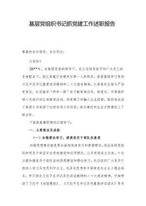 基层党组织书记抓党建工作述职报告21.docx