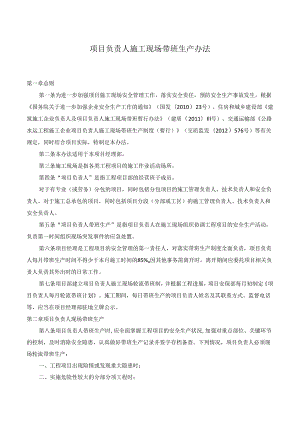 项目负责人施工现场带班生产办法.docx