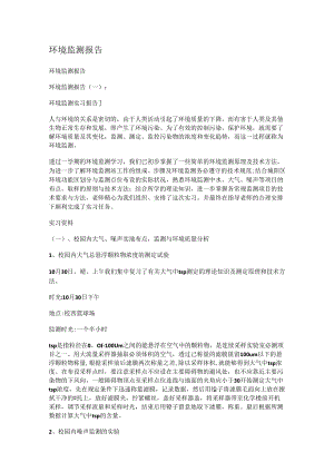 环境监测报告.docx