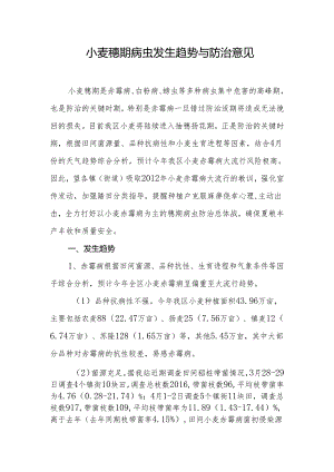 小麦穗期病虫发生趋势与防治意见.docx