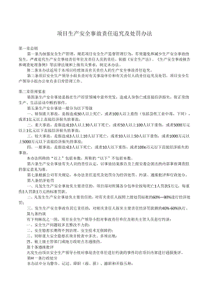 项目生产安全事故责任追究及处罚办法.docx