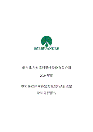 安德利：2024年度以简易程序向特定对象发行A股股票方案论证分析报告.docx