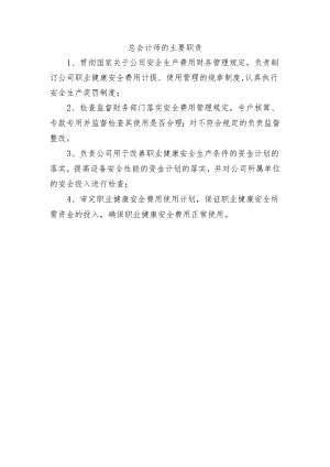 总会计师的主要职责.docx