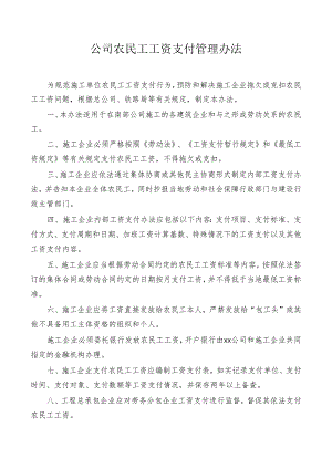 公司农民工工资支付管理办法.docx