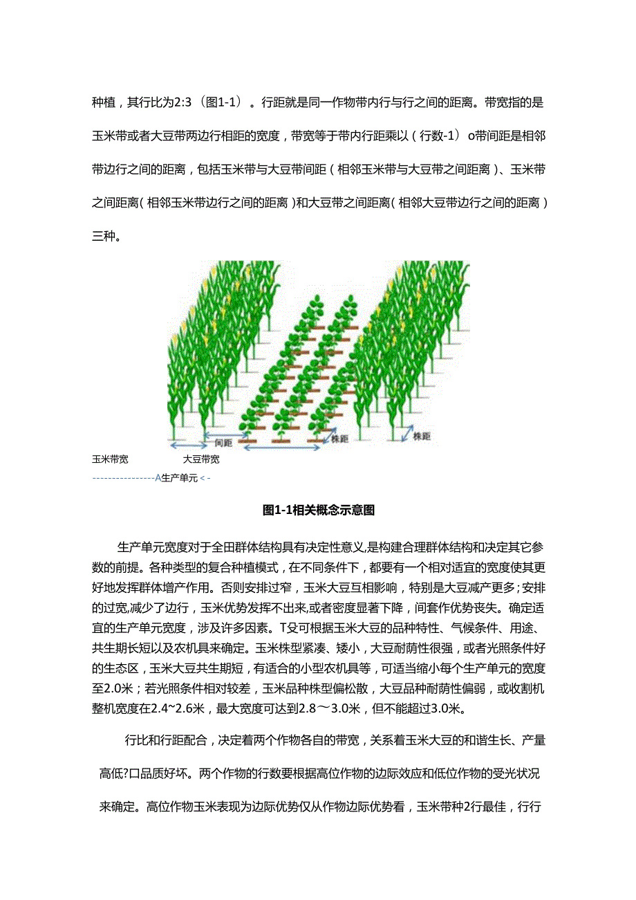 大豆-玉米带状复合种植田间配置技术.docx_第3页