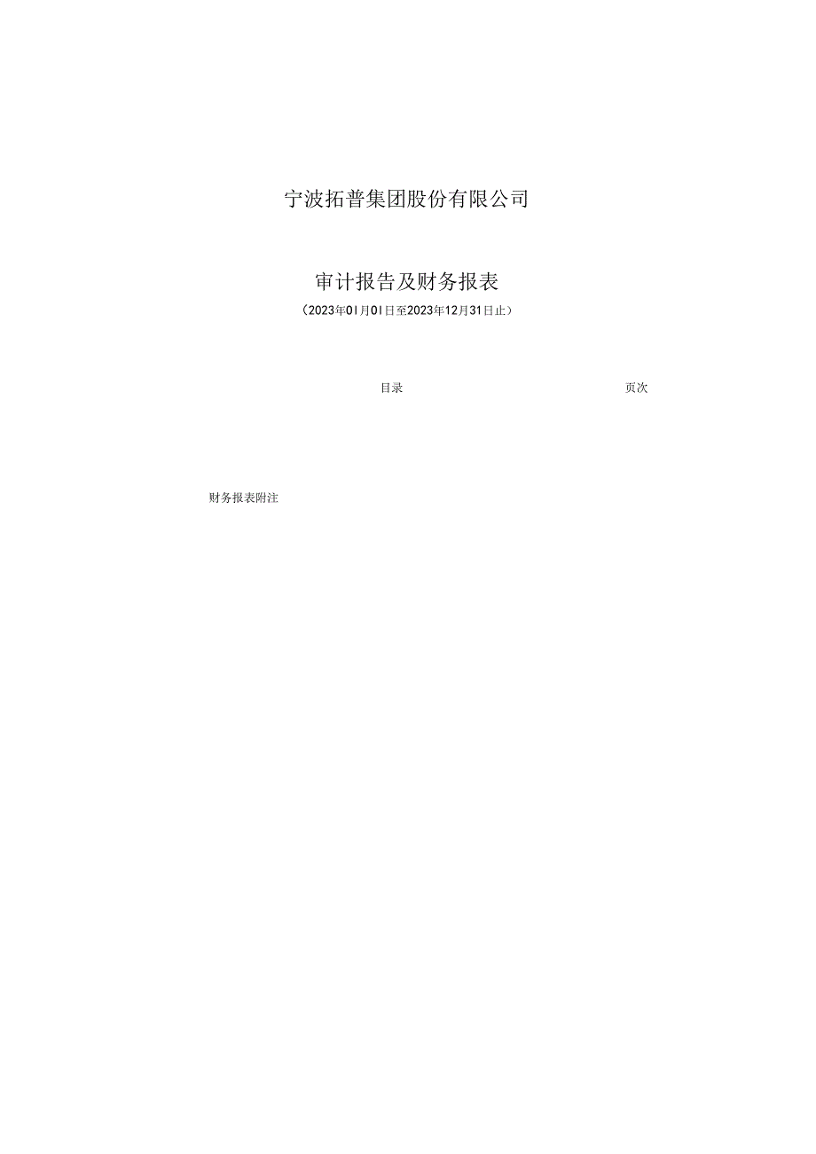 拓普集团2023年度审计报告及财务报表.docx_第2页