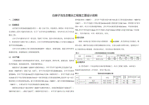 白房子沟生态整治工程施工图设计说明.docx