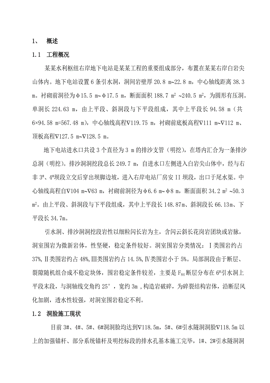 引水洞投标施工组织设计.doc_第1页